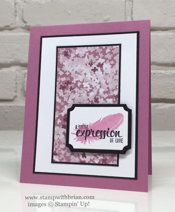 Painter's Palette, Lovely Amazing You, Stampin' Up!, Brian King Painter's Palette, Lovely Amazing You, Stampin' Up!, Brian King