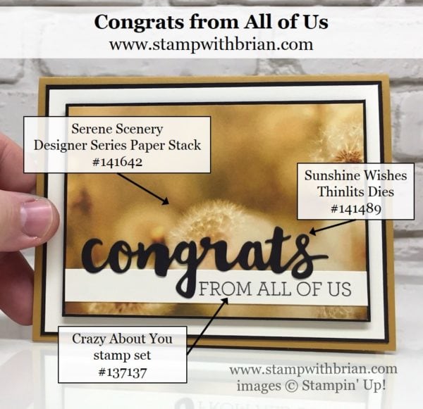 Sunshine Wishes Thinlits, Crazy About You, Serene Scenery Designer Series Paper Stack, Stampin' Up!, Brian King, Congratulations card Sunshine Wishes Thinlits, Crazy About You, Serene Scenery Designer Series Paper Stack, Stampin' Up!, Brian King, Congratulations card