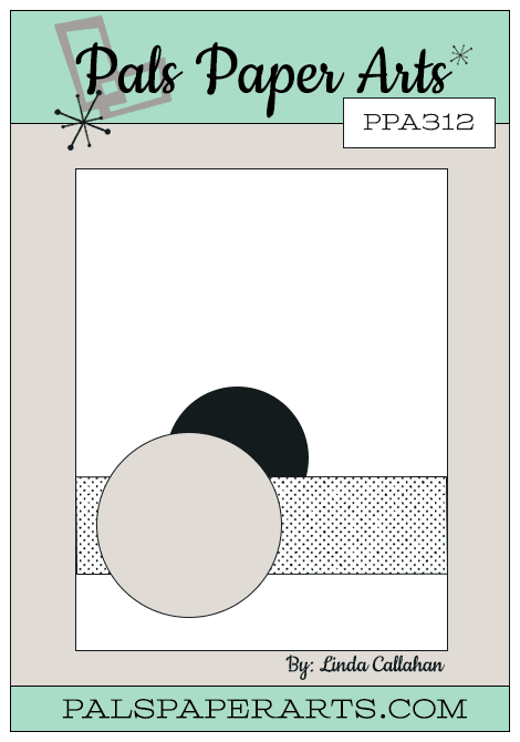PPA312