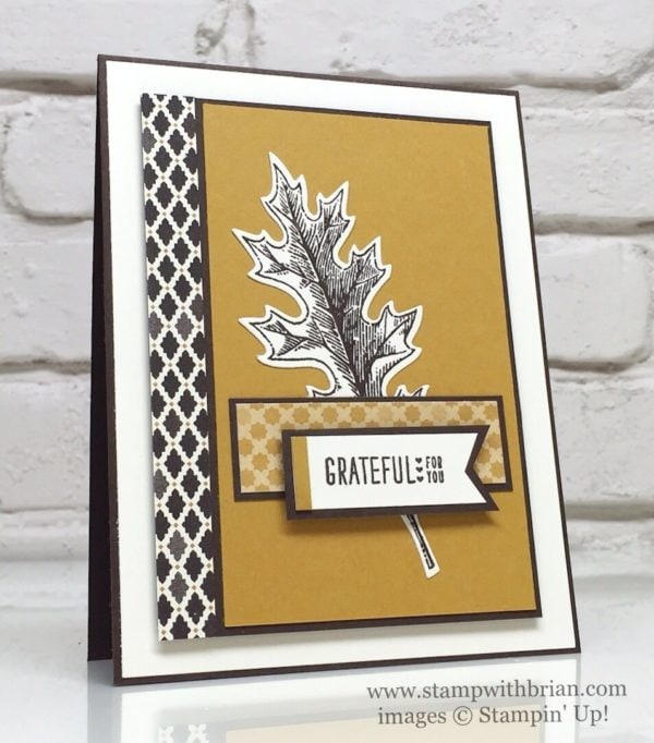 Vintage Leaves, Acorny Thank You, Stampin' Up!, Brian King, FabFri93