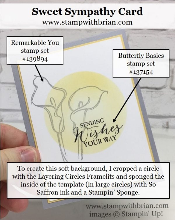 Remarkable You, Butterfly Basics, Stampin' Up!, Brian King, CTS209