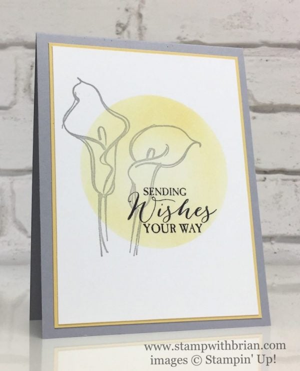 Remarkable You, Butterfly Basics, Stampin' Up!, Brian King, CTS209