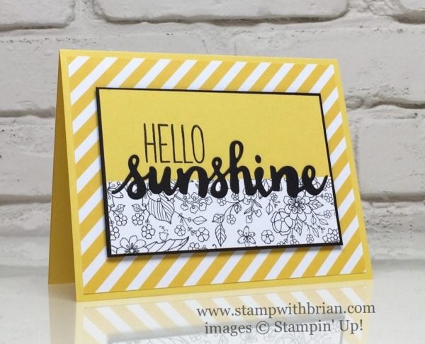 Sunshine Wishes Thinlits Dies, Oh Happy Day Card Kit, Inside the Lines Designer Series Paper, Stampin' Up!, Brian King