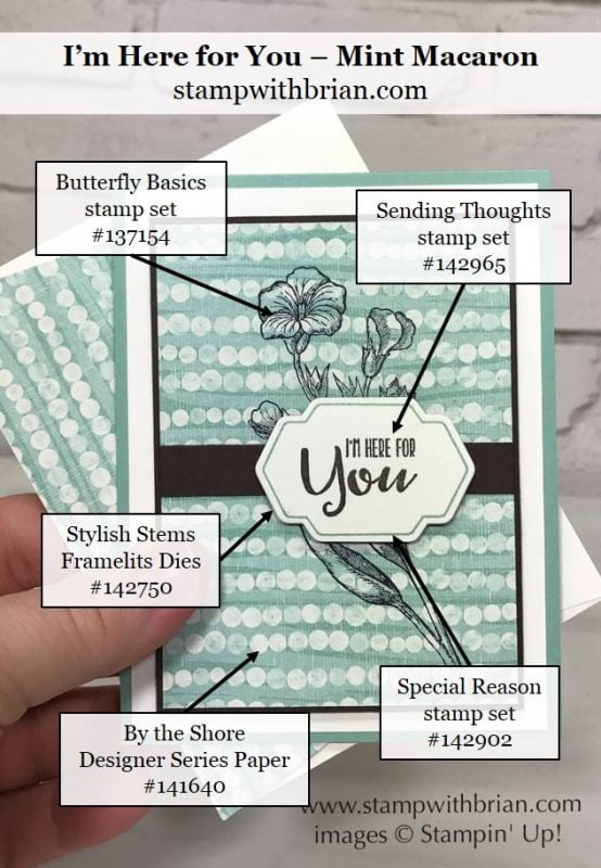 Butterfly Basics, Sending Thoughts, By the Shore Designer Series Paper, Mint Macaron, Stampin' Up!, Brian King, CTS214, thinking of you card