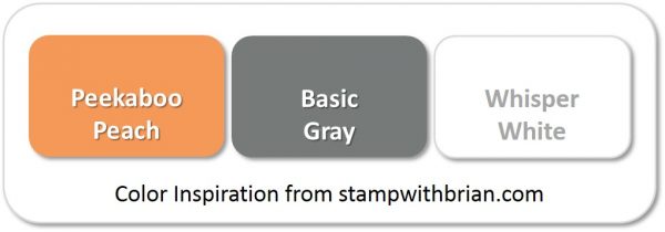 Stampin' Up! Color Inspiration: Peekaboo Peach, Basic Gray, Whisper White