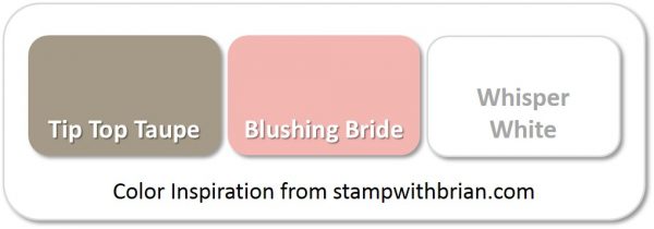 Stampin' Up! Color Inspiration: Tip Top Taupe, Blushing Bride, Whisper White