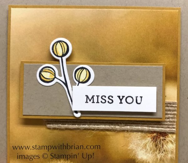 Happy Happenings, Falling Flowers, Stampin' Up!, Brian King, FabFri109 Happy Happenings, Falling Flowers, Stampin' Up!, Brian King, FabFri109