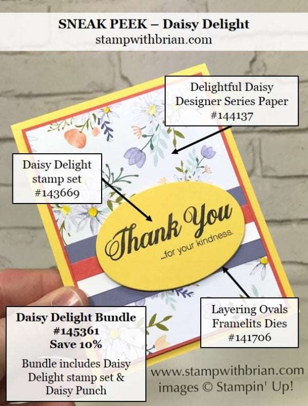 Daisy Delight, Delightful Daisy Designer Series Paper, Stampin' Up!, Brian King, thank you card Daisy Delight, Delightful Daisy Designer Series Paper, Stampin' Up!, Brian King, thank you card