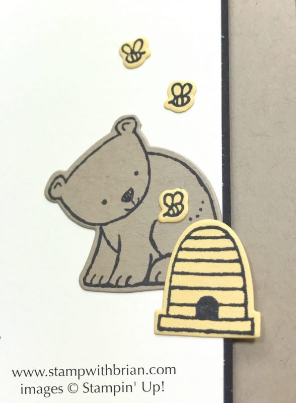 A Little Wild, Stampin' Up!, Brian King, CTS227 A Little Wild, Stampin' Up!, Brian King, CTS227