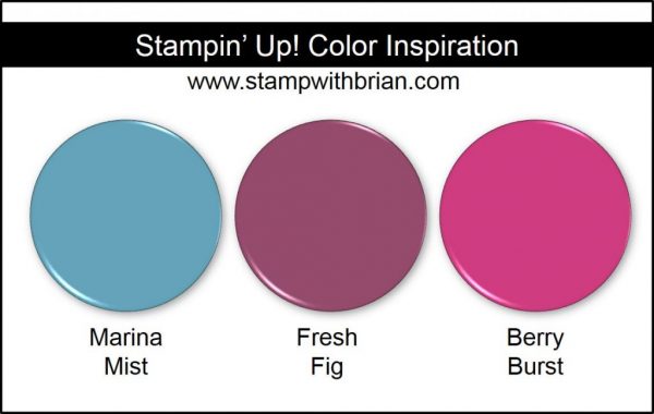Stampin' Up! Color Inspiration,: Marina Mist, Fresh Fig, Berry Burst Stampin' Up! Color Inspiration,: Marina Mist, Fresh Fig, Berry Burst