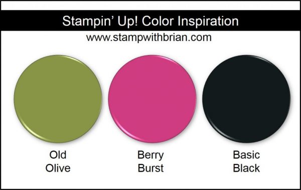 Stampin' Up! Color Inspiration: Old Olive, Berry Burst, Basic Black Stampin' Up! Color Inspiration: Old Olive, Berry Burst, Basic Black