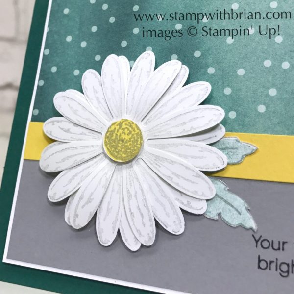Daisy Delight, Daisy Punch, Stampin' Up!, Brian King