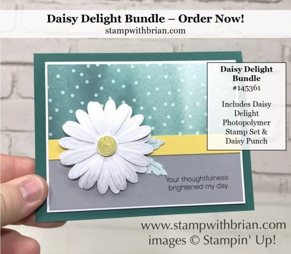 Daisy Delight, Daisy Punch, Stampin' Up!, Brian King