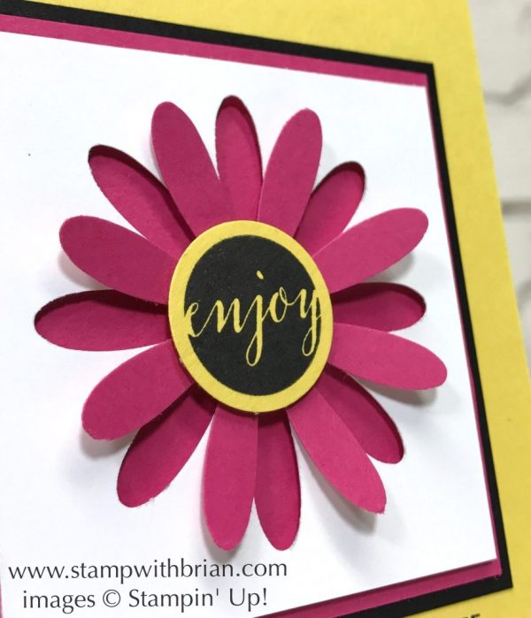 Daisy Punch, Ready to Pop, Birthday Delivery, Stampin' Up!, Brian King