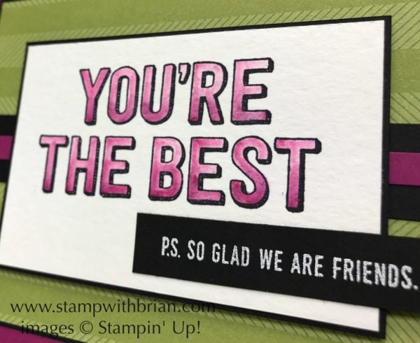 You're Delightful, Stampin' Up!, Brian King, FabFri115 You're Delightful, Stampin' Up!, Brian King, FabFri115