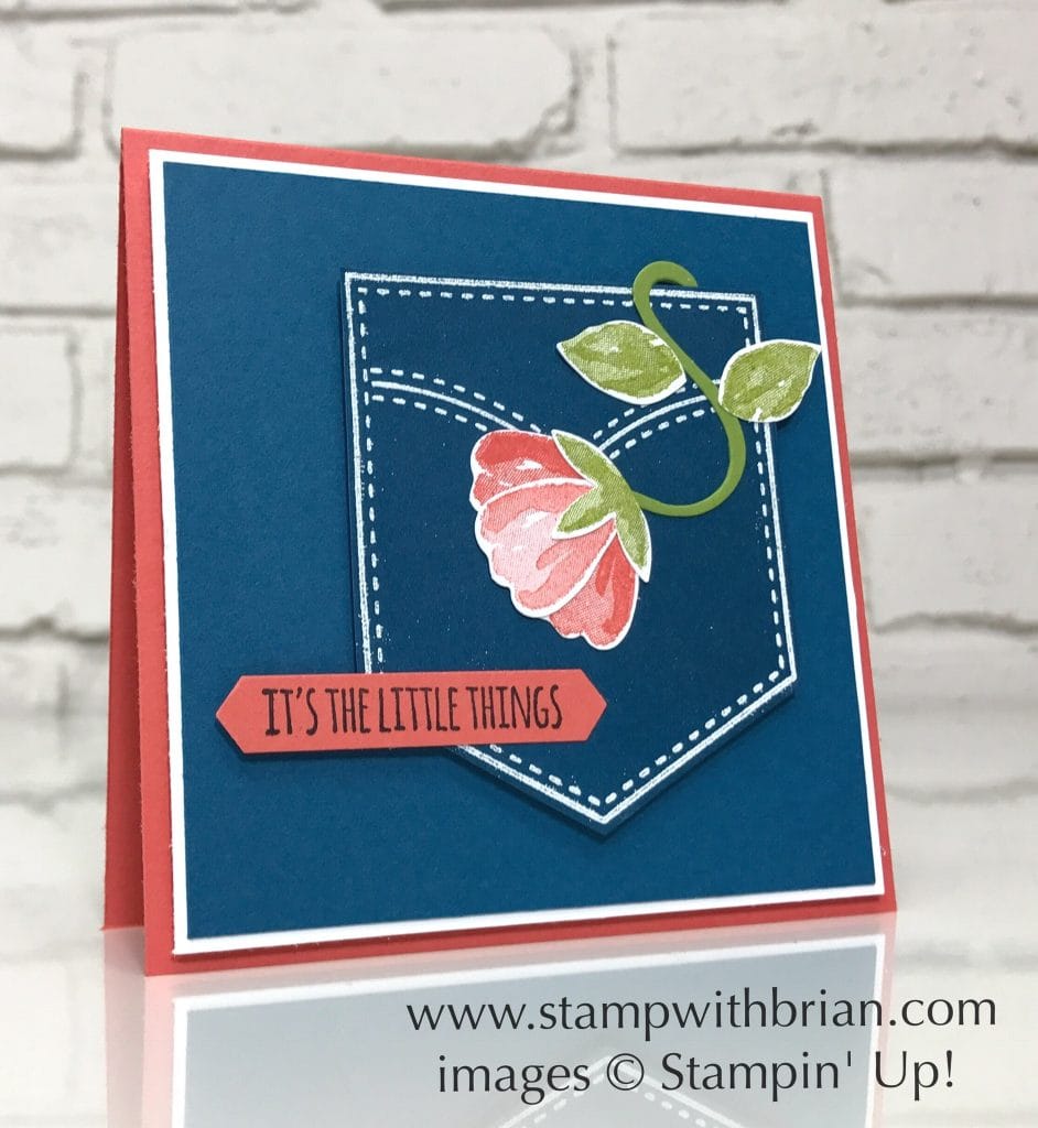 A Pocketful of Sunshine for FMS301 STAMP WITH BRIAN