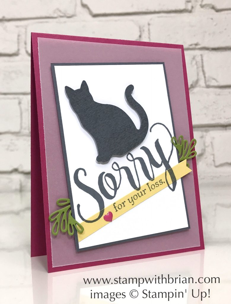 Sorry for Everything, Cat Punch, Stampin' Up!, Brian King, sympathy card