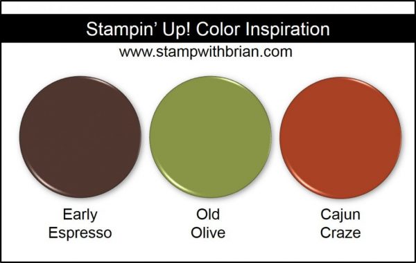 Stampin' Up! Color Inspiration: Early Espresso, Old Olive, Cajun Craze