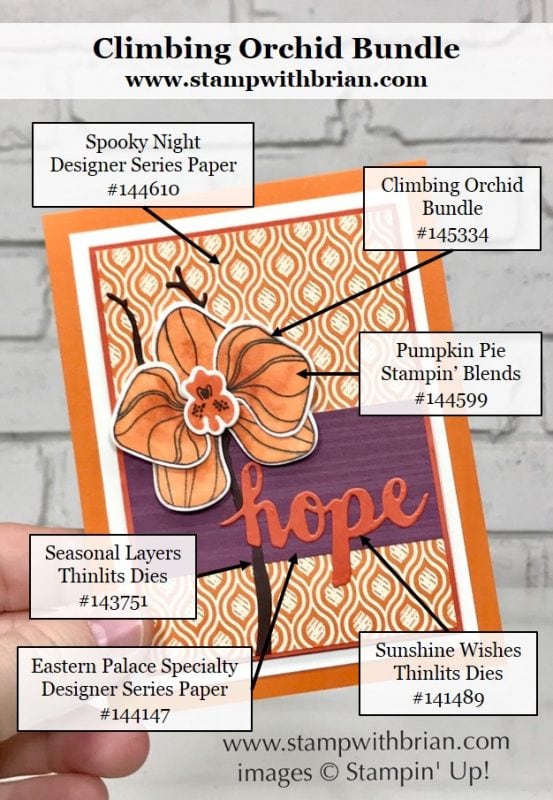 Climbing Orchid, Sunshine Wishes Thinlits, Stampin' Up!, Brian King, FabFri124 Climbing Orchid, Sunshine Wishes Thinlits, Stampin' Up!, Brian King, FabFri124