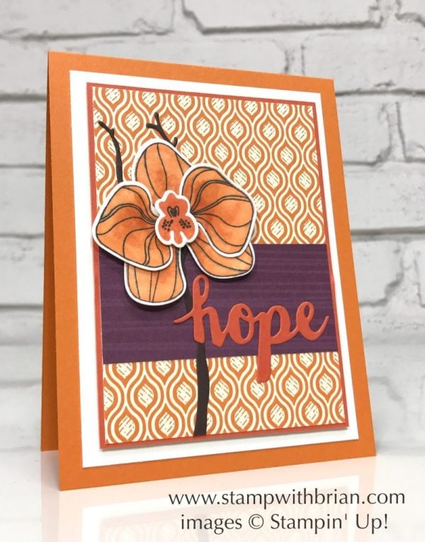 Climbing Orchid, Sunshine Wishes Thinlits, Stampin' Up!, Brian King, FabFri124