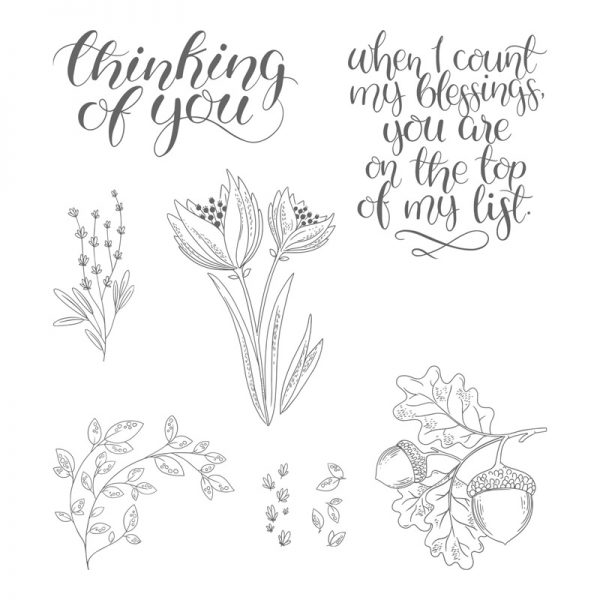 Count My Blessings, Stampin' Up!, 144790