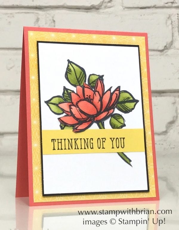 Remarkable You, Window Shopping, Stampin' Up!, Brian King, FMS309 Remarkable You, Window Shopping, Stampin' Up!, Brian King, FMS309