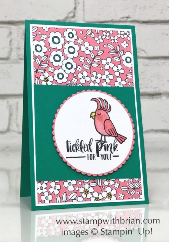 Bird Banter, Fabulous Flamingo, Stampin' Up!, Brian King