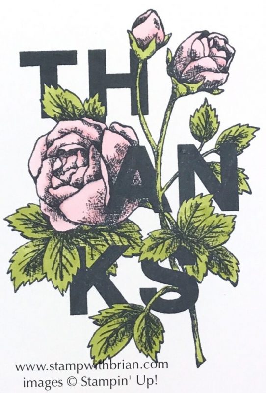 Floral Statements, Stampin' Up!, Brian King, thank you card