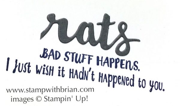 Here for You, Sunshine Wishes Thinlits Dies, Stampin' Up!, Brian King 2