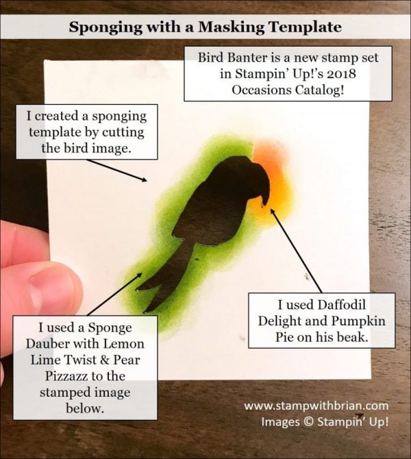 Sponging with a Template, Bird Banter, Stampin' Up!, Brian King