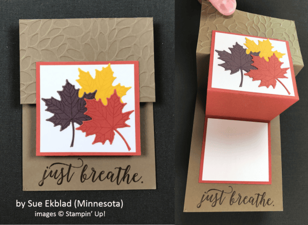 by Sue Ekblad, Stampin' Up!, Holiday One-for-One Swap