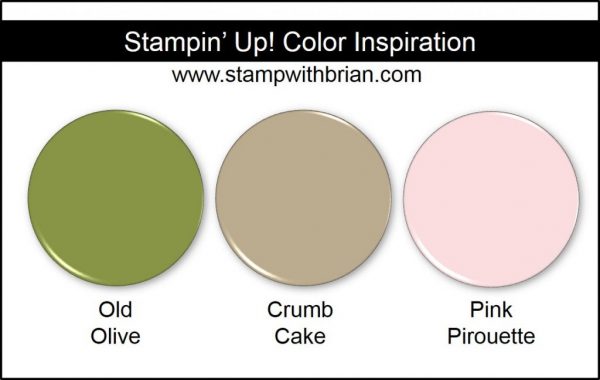 Stampin' Up! Color Inspiration: Old Olive, Crumb Cake, Pink Pirouette