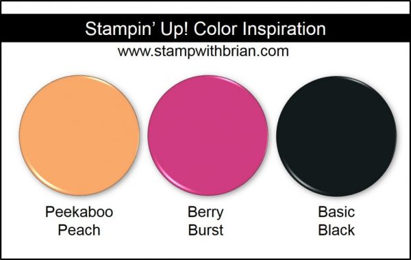 Stampin' Up! Color Inspiration: Peekaboo Peach, Berry Burst, Basic Black Stampin' Up! Color Inspiration: Peekaboo Peach, Berry Burst, Basic Black