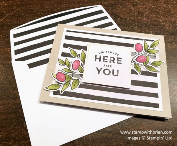 Lots of Happy Card Kit, Stampin' Up!, Brian King