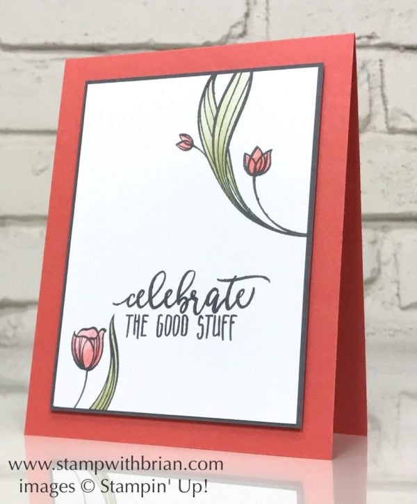 Lovely Wishes, Picture Perfect Birthday, Stampin' Up!, Brian King, CTS250 Lovely Wishes, Picture Perfect Birthday, Stampin' Up!, Brian King, CTS250