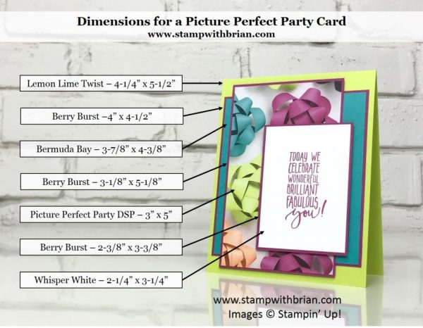 Picture Perfect Birthday, Picture Perfect Party Designer Series Paper, Stampin' Up!, Brian King Picture Perfect Birthday, Picture Perfect Party Designer Series Paper, Stampin' Up!, Brian King