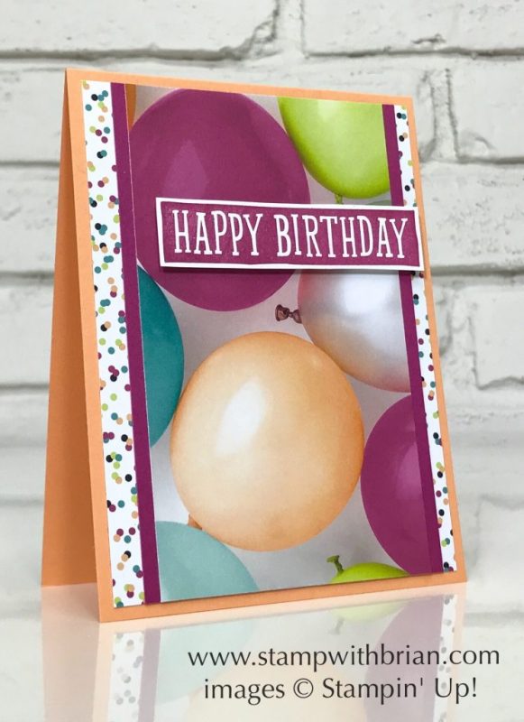 Birthday Wit, Picture Perfect Party Designer Sereis Paper, Stampin' Up!, Brian King, birthday card, FMS319 Birthday Wit, Picture Perfect Party Designer Sereis Paper, Stampin' Up!, Brian King, birthday card, FMS319