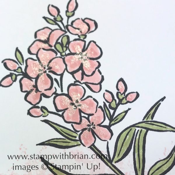 A touch of Clear Wink of Stella Glitter Brush adds amazing shine to the smallest flowers, Southern Serendade, Stampin' Up!, Brian King
