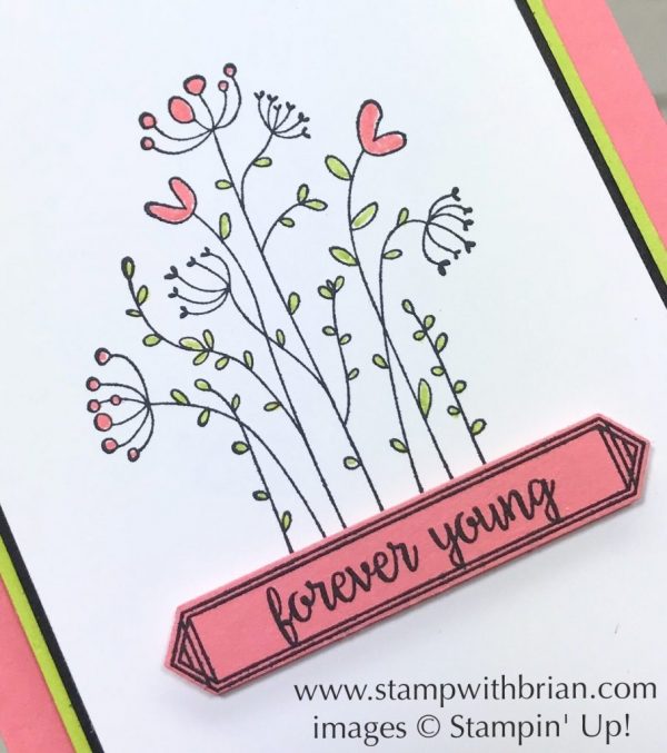 Flirty Flowers, Happy Birthday Gorgeous, Stampin' Up!, Brian King