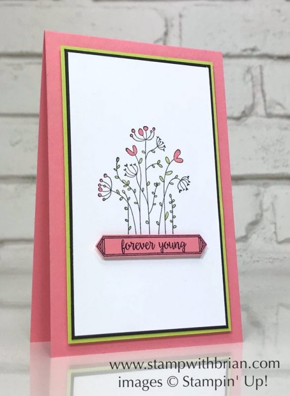 Flirty Flowers, Happy Birthday Gorgeous, Stampin' Up!, Brian King, CTS258