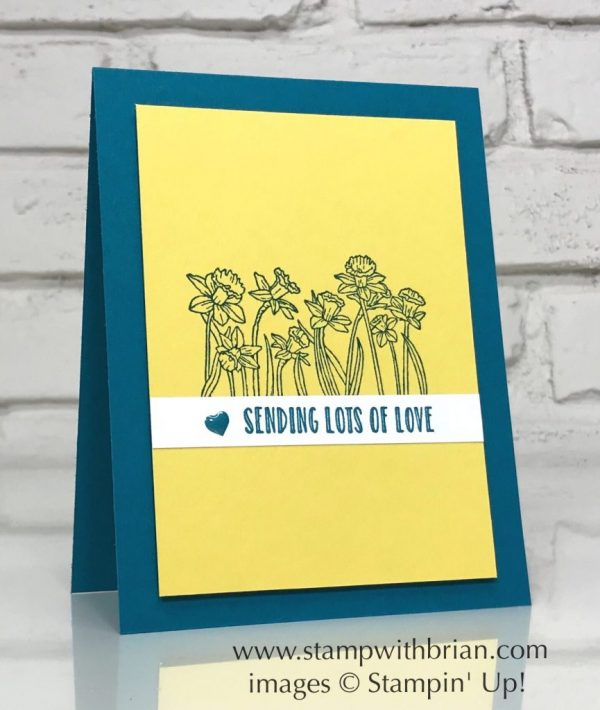 You're Inspiring, Hanging Garden, Stampin' Up!, Brian King, thinking of you card You're Inspiring, Hanging Garden, Stampin' Up!, Brian King, thinking of you card