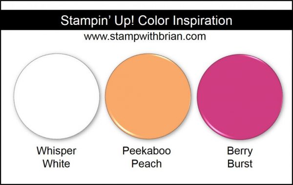 Stampin' Up! Color Inspiration: Whisper White, Peekaboo Peach, Berry Burst Stampin' Up! Color Inspiration: Whisper White, Peekaboo Peach, Berry Burst