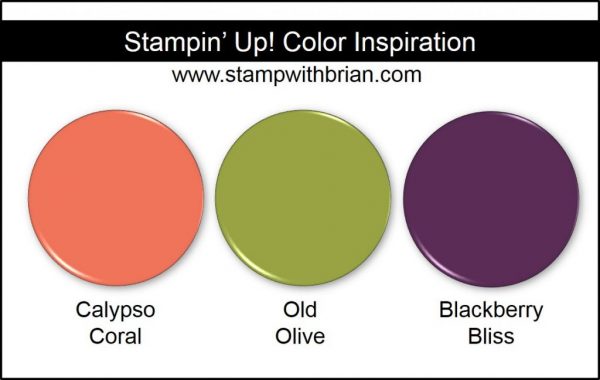 Stampin' Up! Color Inspiration: Calypso Coral, Old Olive, Blackberry Bliss