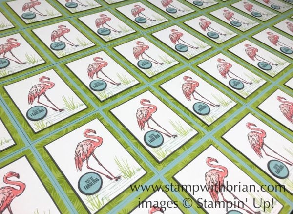Fabulous Flamingo, Tabs for Everything, Stampin' Up!, Brian King Fabulous Flamingo, Tabs for Everything, Stampin' Up!, Brian King