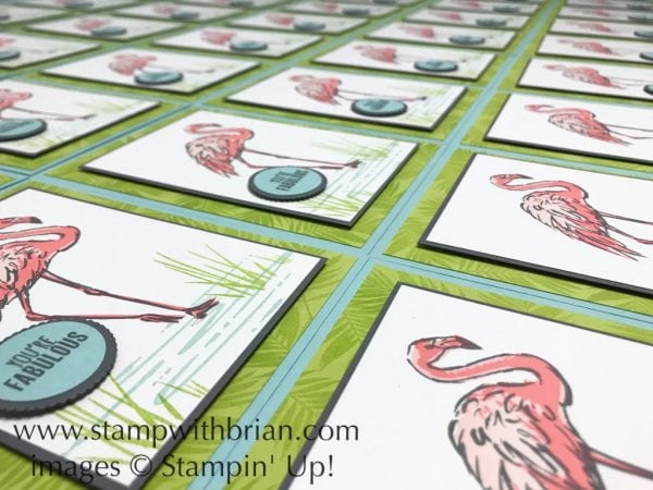 Fabulous Flamingo, Tabs for Everything, Stampin' Up!, Brian King