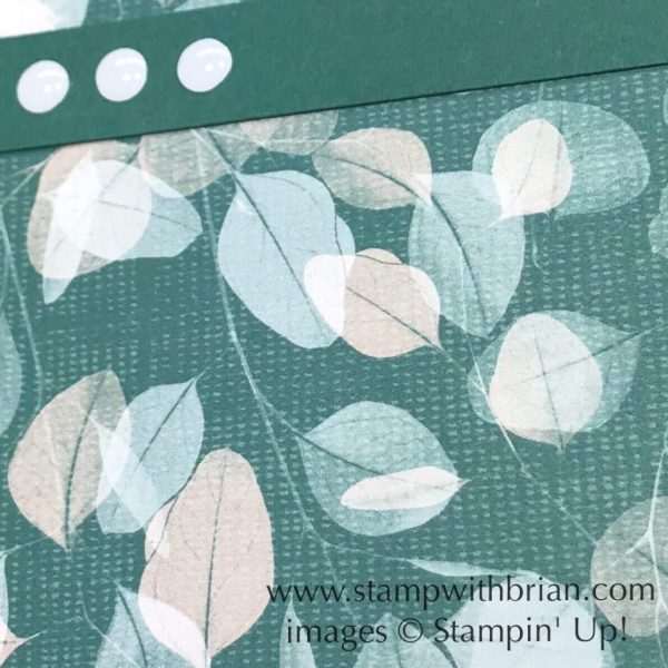 Nature's Pem Designer Series Paper, Stampin' Up!, Brian King