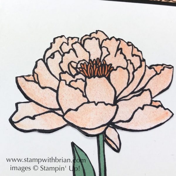 You've Got This, Stampin' Up!, Brian King, Share What You Love Specialty Designer Series Paper