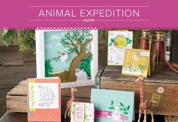 Animal Expedition Suite 11002 Animal Expedition Suite 11002