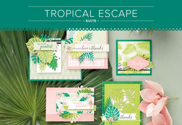 Tropical Escape Suite 11009