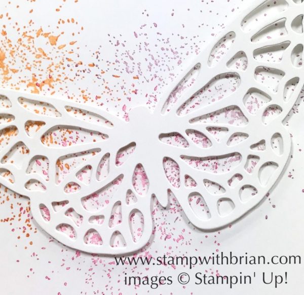 Springtime Impressions Thinlits Dies, Stampin' Up!, Brian King